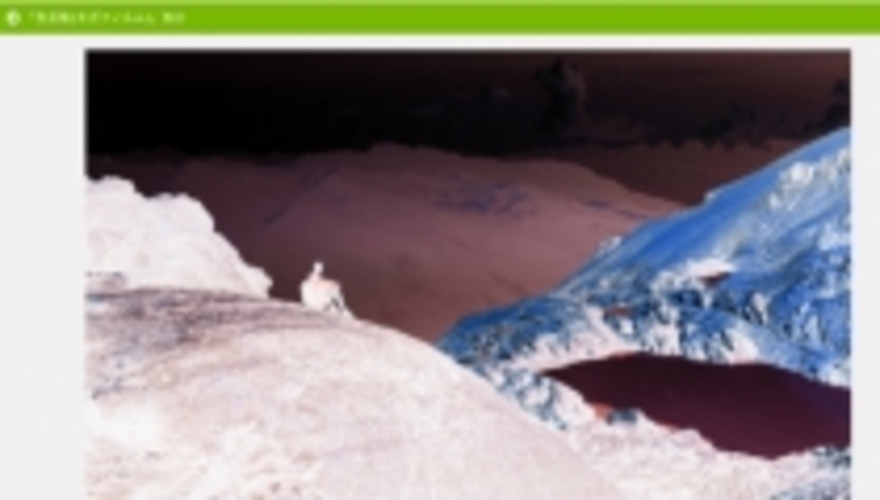 オンラインサイトで手早く反転