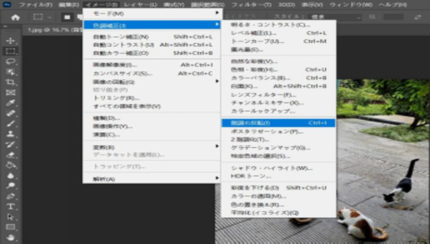 「階調の反転」を選択