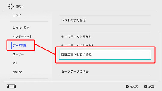 Switchの画面写真と動画の管理