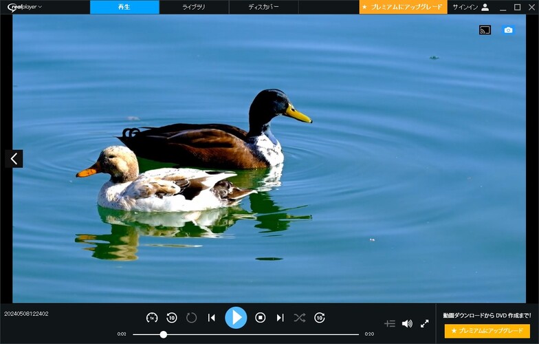 RealPlayer