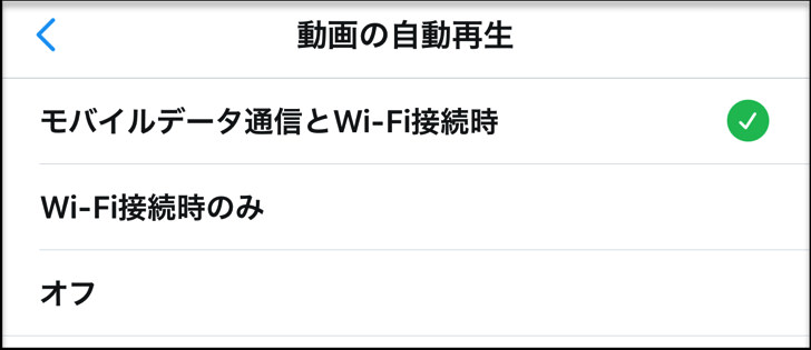 動画の自動再生を設定