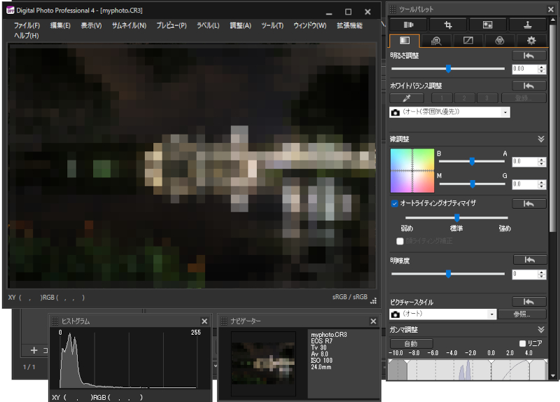 DPPでCR3ファイルを再生