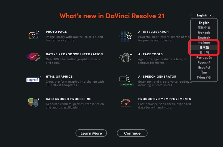 Davinci Resolveで日本語表示
