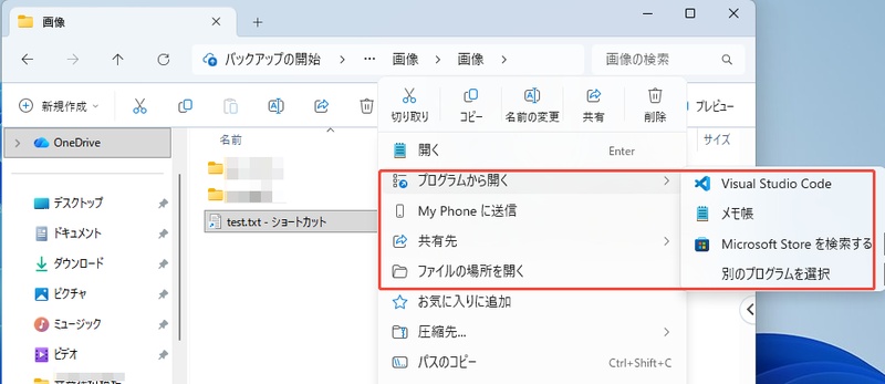 プログラムから開く