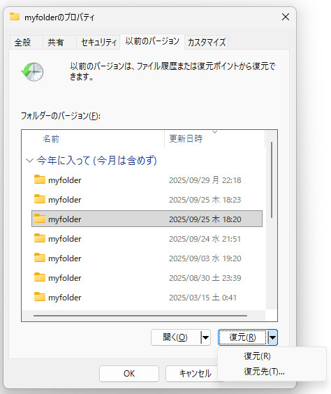 Folder Previous Version