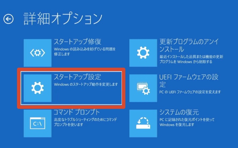 トラブルシューティングの詳細オプション