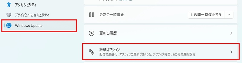 「詳細オプション」を選択する