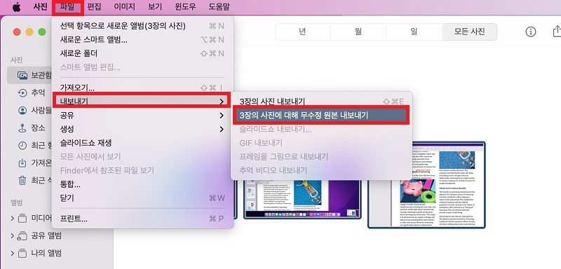 사진 내보내기