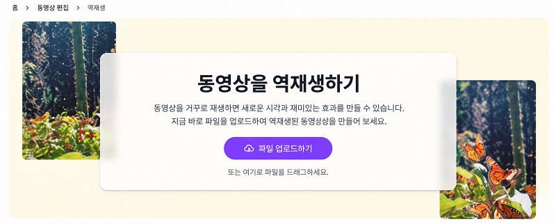 Canva에서 동영상 역재생