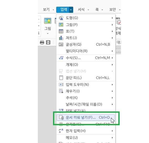 입력 탭을 클릭하고 문서 끼워 넣기 옵션을 선택하기