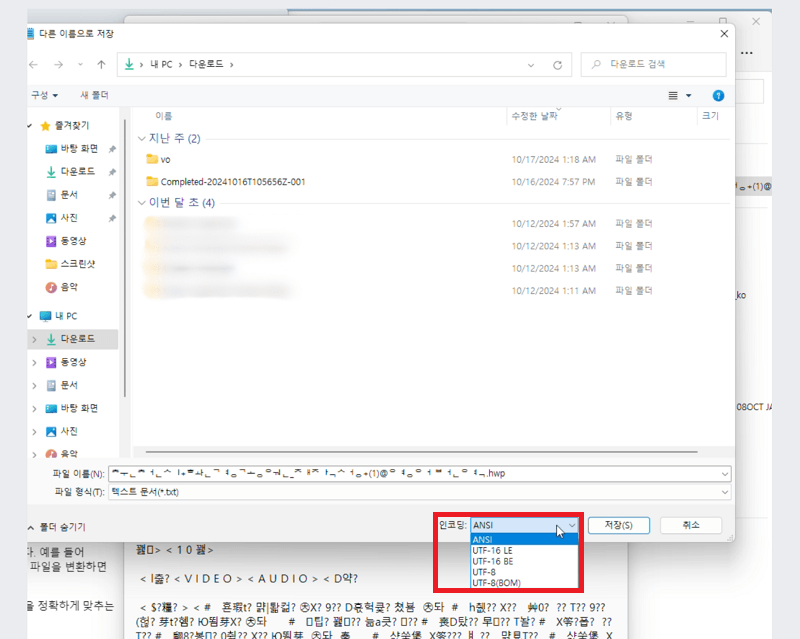 인코딩 옵션 확인