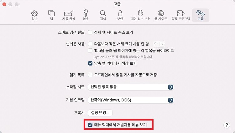 "메뉴바에 개발 메뉴를 표시"에 체크하기