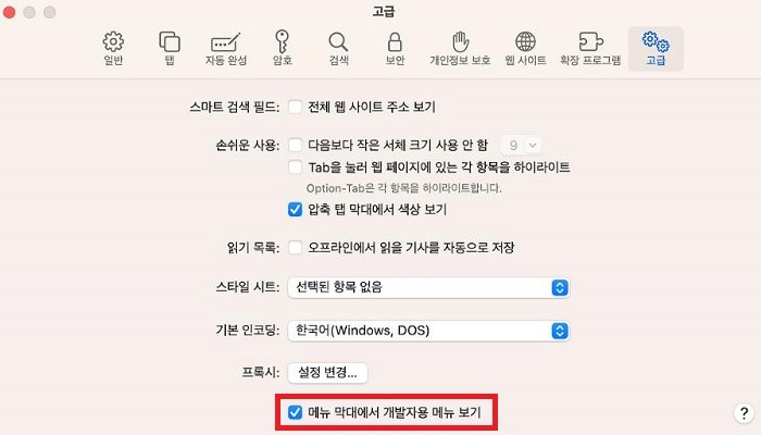 웹 개발자 기능 표시 체크