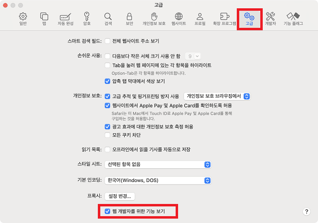 웹 개발자를 위한 기능 보기에 체크