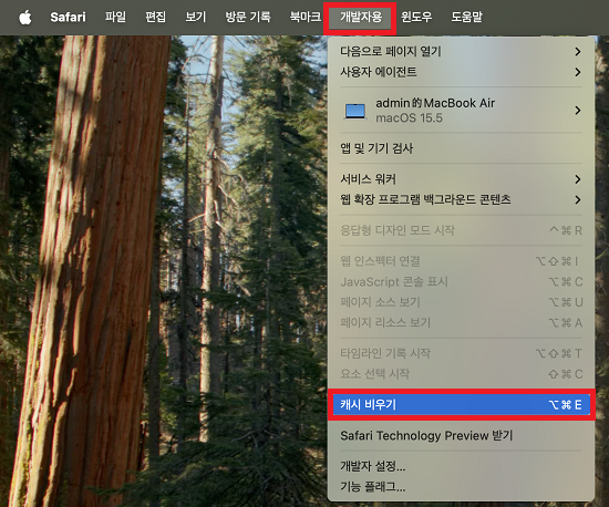 캐시 비우기를 클릭