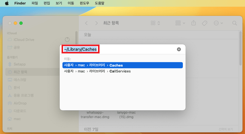 Library Caches 선택