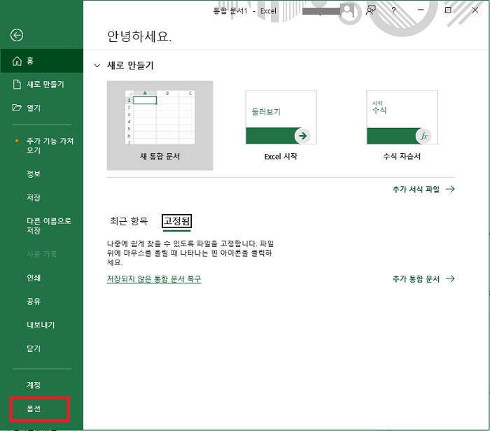 엑셀 옵션 선택