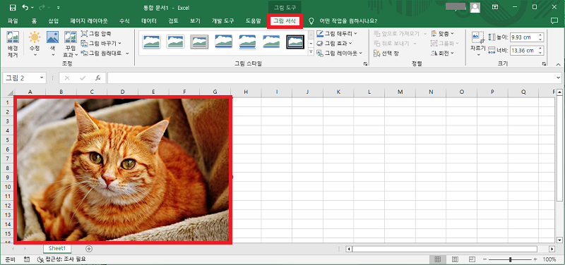 Excel 그림 서식