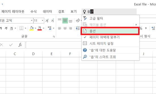 엑셀 옵션 선택