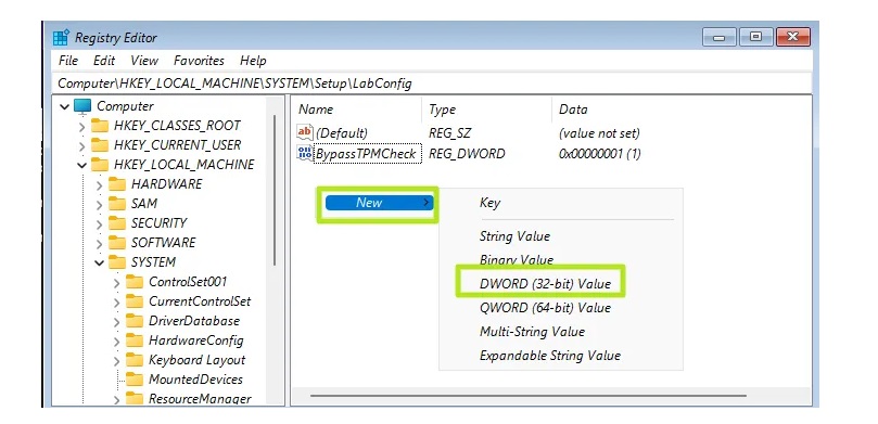 「DWORD(32비트) 값」을 선택하세요