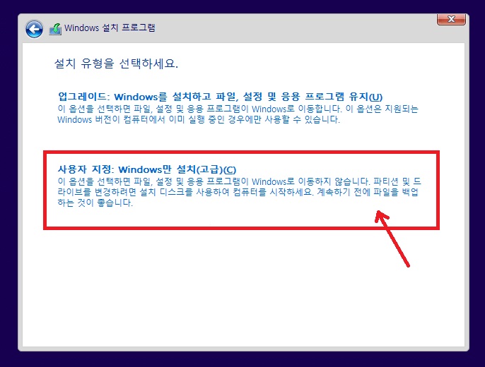 사용자 지정 설치 선택