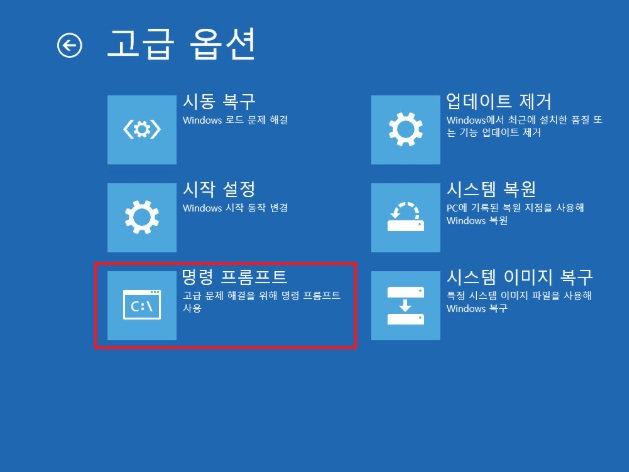 Windows 상세 옵션 화면에서 명령 프롬프트를 선택
