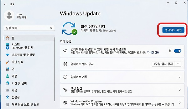 Windows 11의 Windows 업데이트 화면