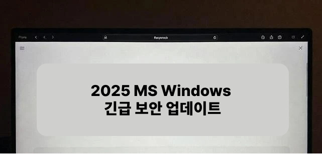 MS Windows 긴급 보안 업데이트