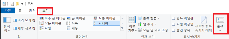 탐색기 옵션 선택