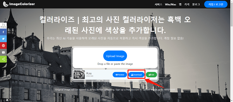 image colorizer 사진 다운로드