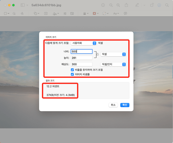 너비 및 높이 조절