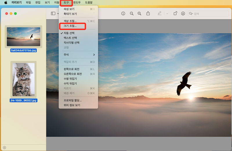크기 조절 선택하기