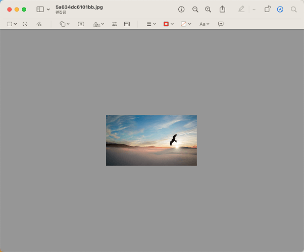이미지 크기 조절 확인