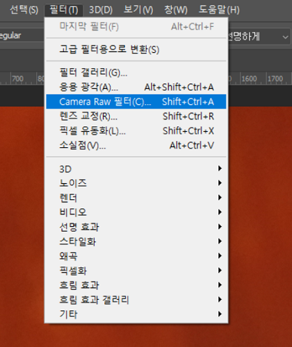 Camera Raw 필터