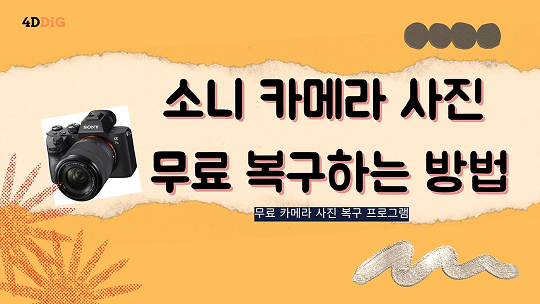 무료 소니 카메라 사진 복구