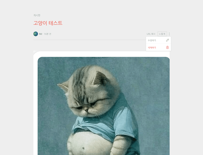 사진 원본 크기 옵션 활성화