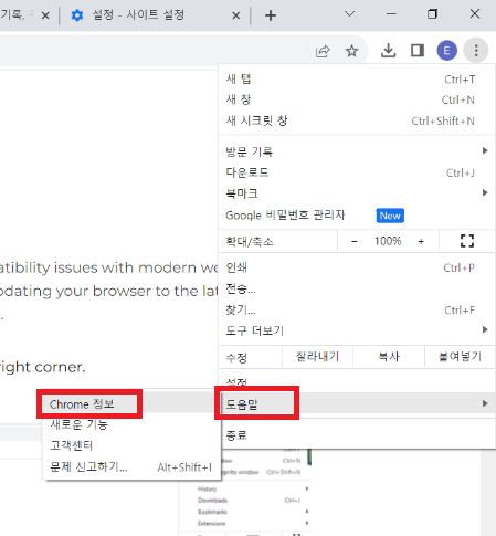 구글 크롬 정보 선택