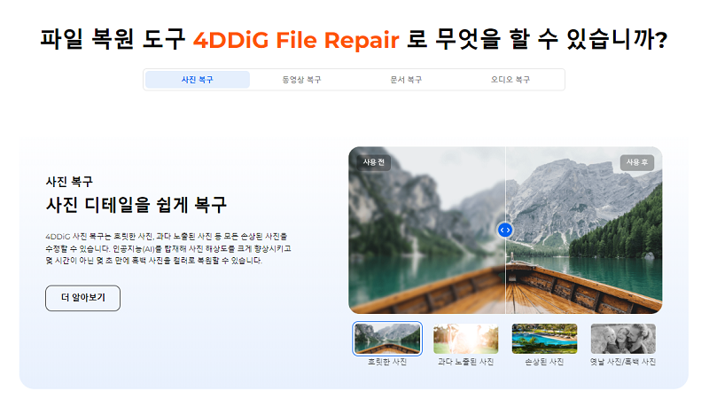 4DDiG File Repair란
