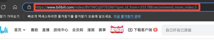 How to Download Bilibili Videos 3