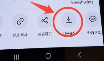 How to Download Instagram Videos 2