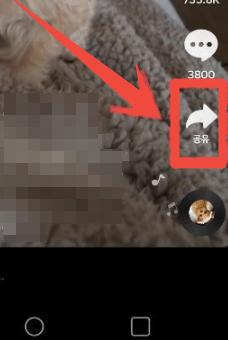 How to Download Tiktok Videos 1