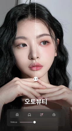 Wink 동영상 보정 도구