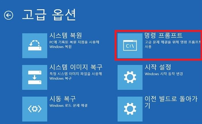 고급 옵션 명령 프롬프트
