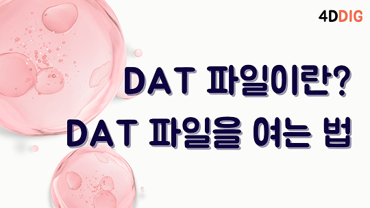 DAT 파일 여는 법