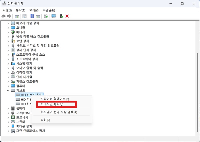 Windows 11 키보드 오류