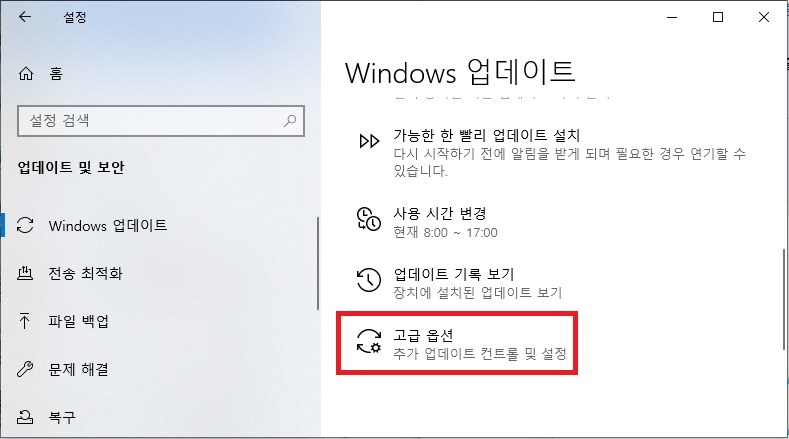고급 옵션 선택