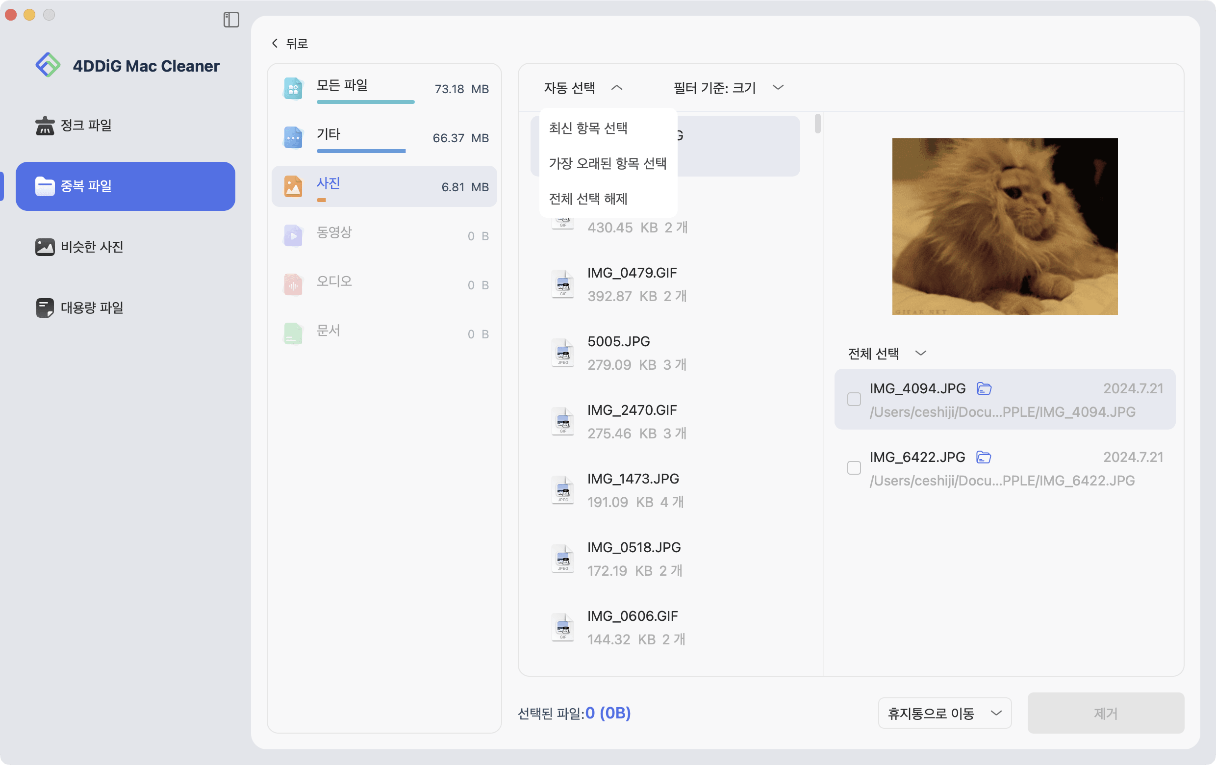 중복 파일 미리보기 및 선택