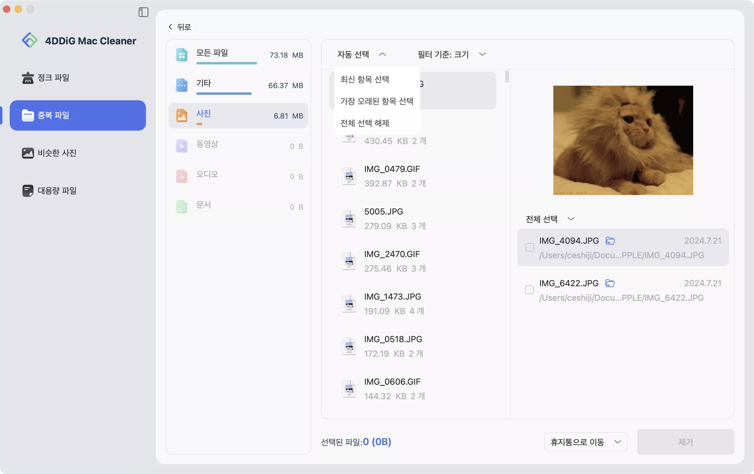 중복 파일 미리보기