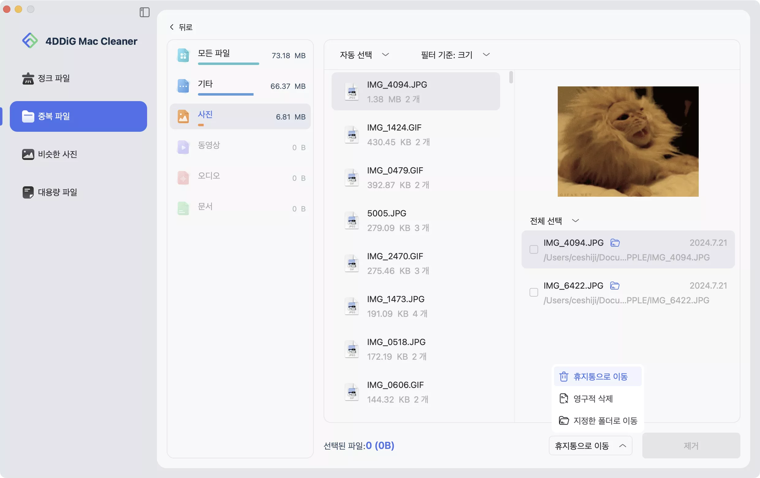 중복 파일 삭제 시작