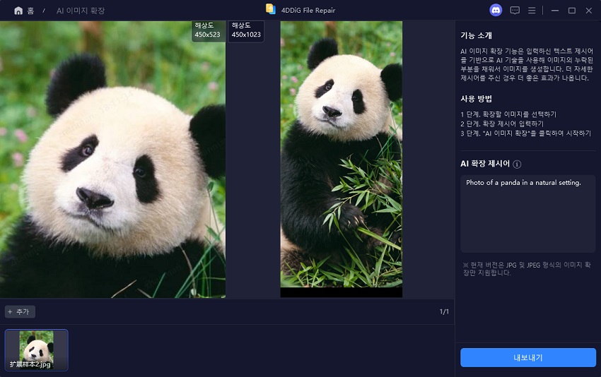 확장된 이미지 미리보기 및 내보내기